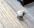 first run of the sander